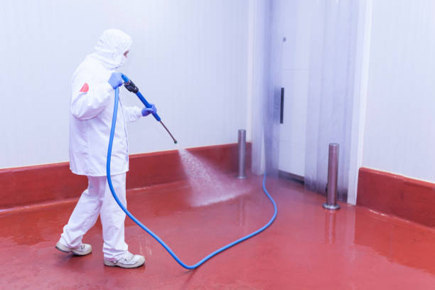Best House Exterior Washing  in Casey, IL