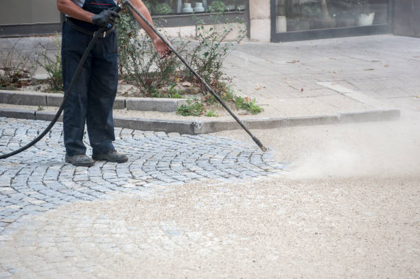 Best Dumpster Area Cleaning  in Casey, IL